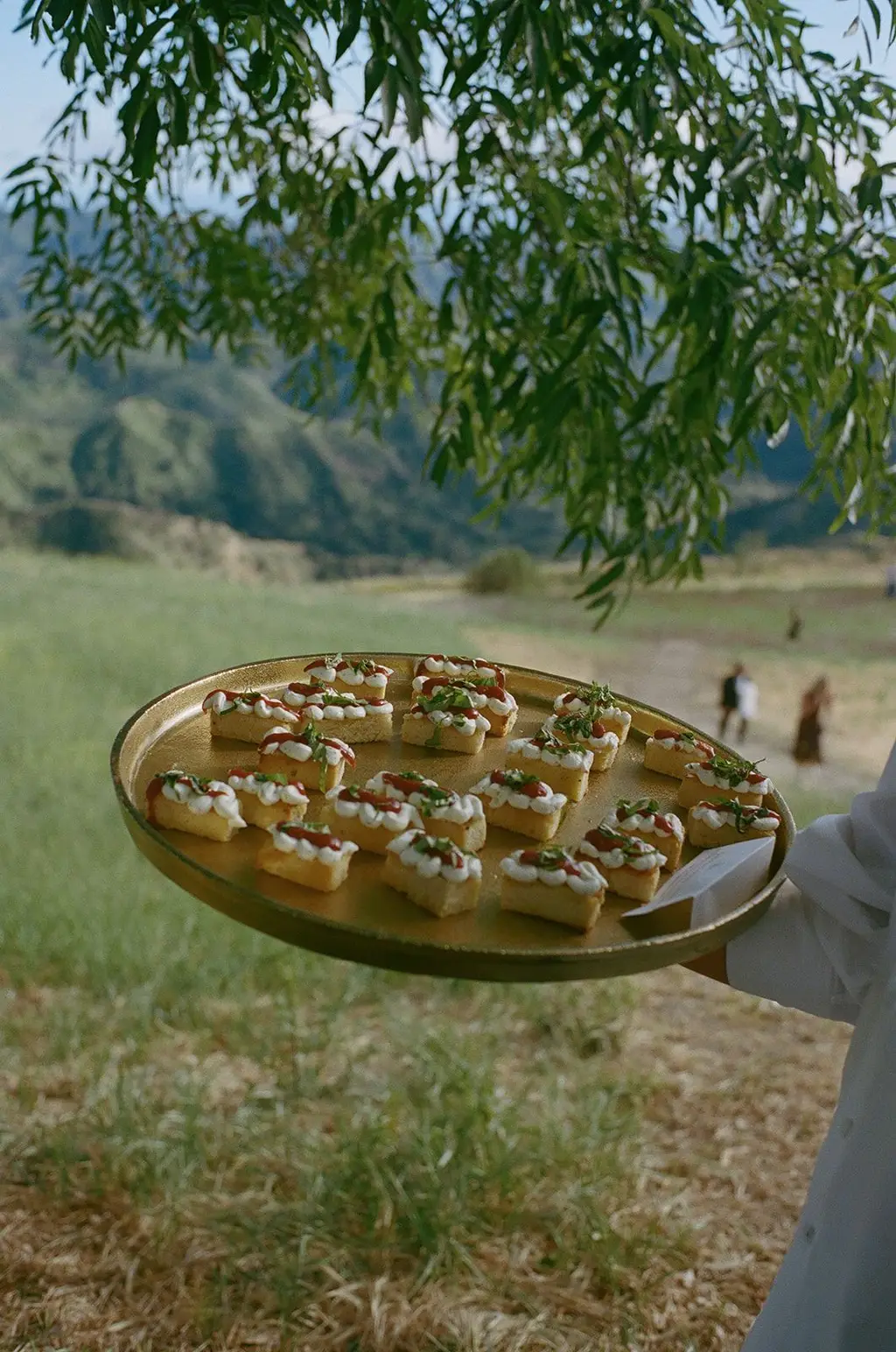 A gold tray of canapés carried past, the ceremony lawn out of focus behind.