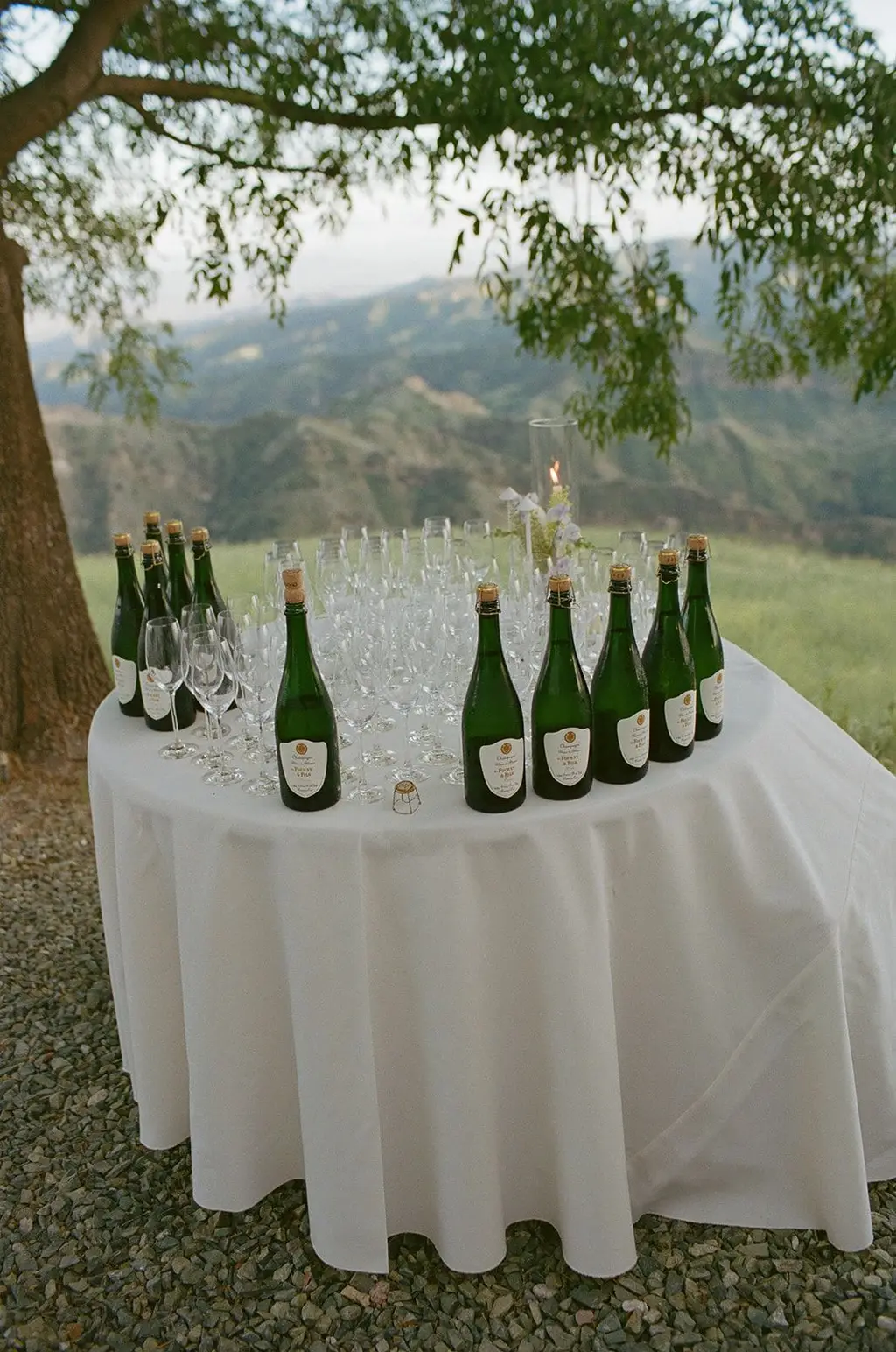 Bottles of champagne and rows of coupes waiting on a white-clothed table at the edge of the hillside.