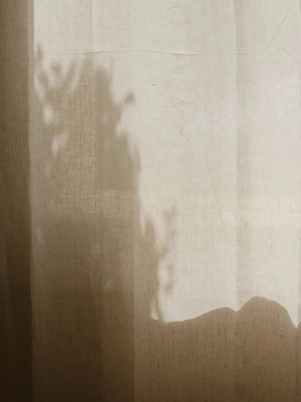 Morning light and the shadow of leaves falling across a linen curtain.