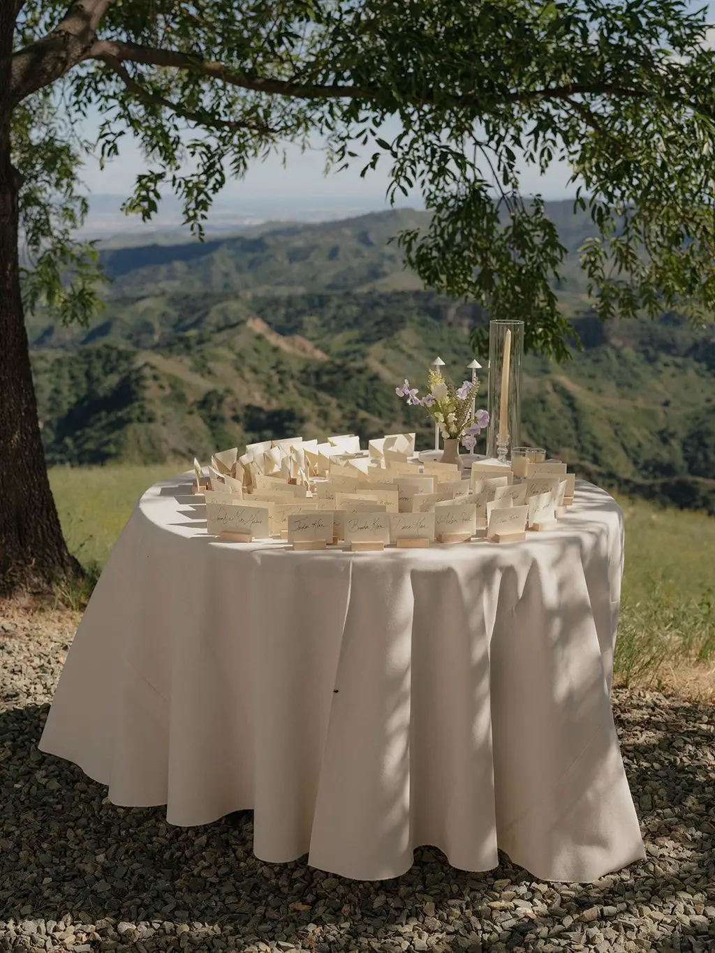 A round linen-draped table of escort cards set under a walnut tree, the valley dropping away behind it.