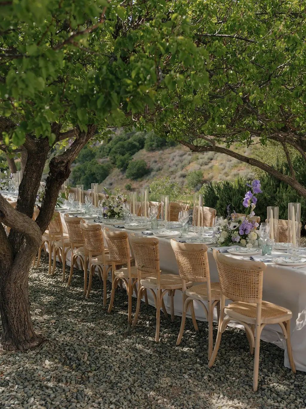 A long reception table under a spreading tree, set with cane chairs, tapers and low floral arrangements, the hills beyond.