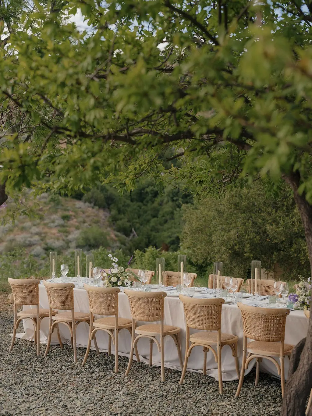 Cane-backed chairs and taper candles along the reception table, framed by the branches of an oak.